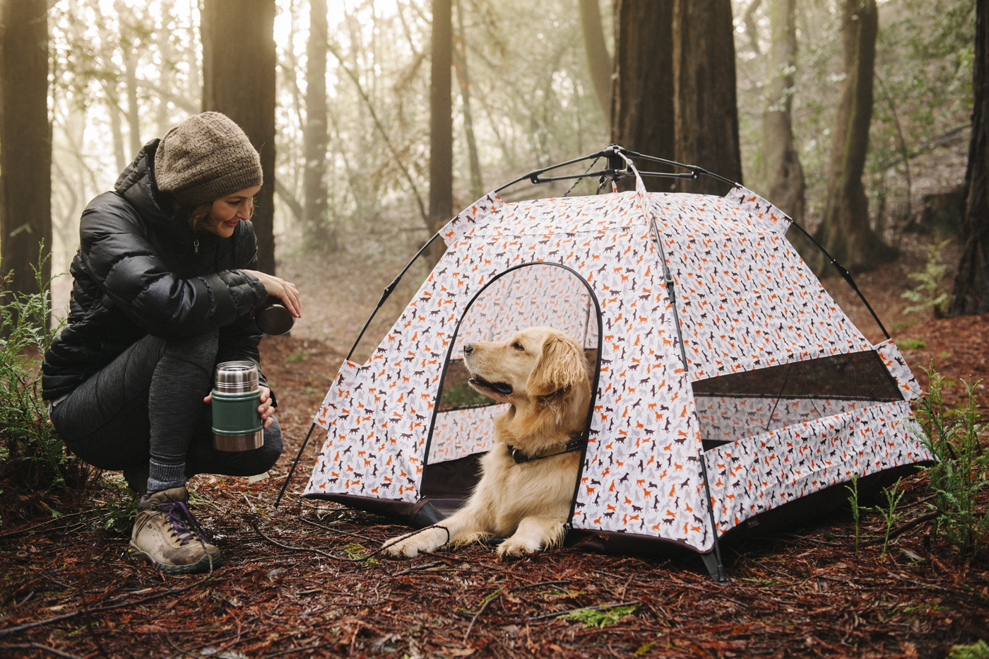 Advantages of Having a Dog Tent Blog